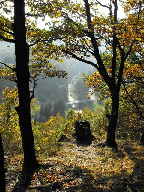 DSCF5174.JPG
