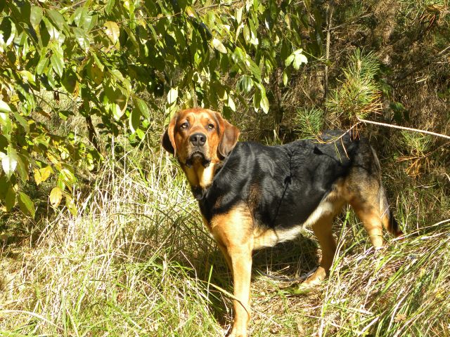 Obraz 039.jpg