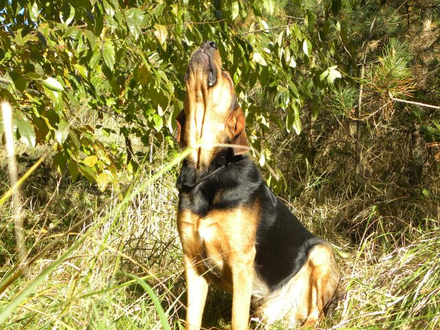 Obraz 044.jpg