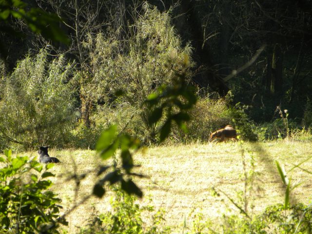 Obraz 034.jpg