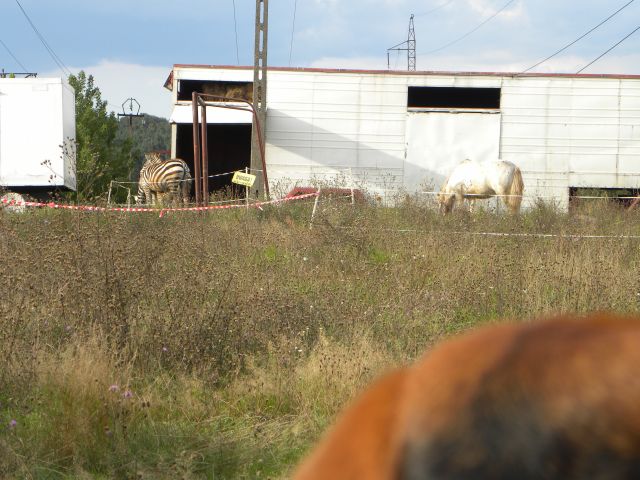 Obraz 011.jpg