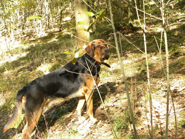 Obraz 006.jpg