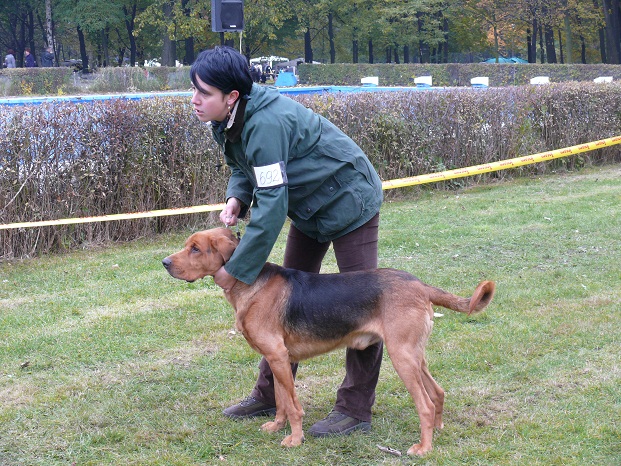 Cyran w pełnej krasie.