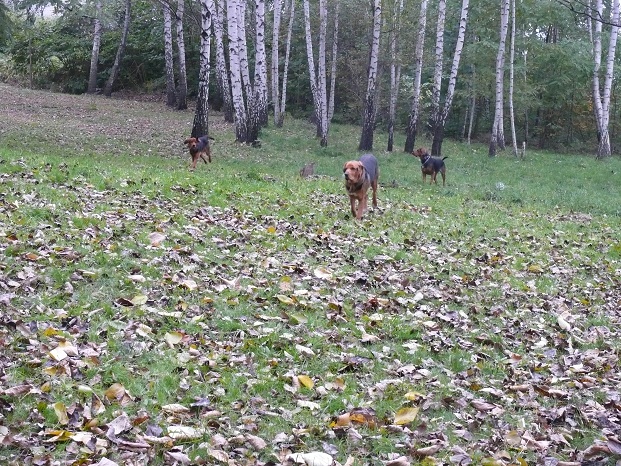 Wystarczy wykrzyczeć dowolne imię... Wszystkie lecą, bo czeka coś dobrego!