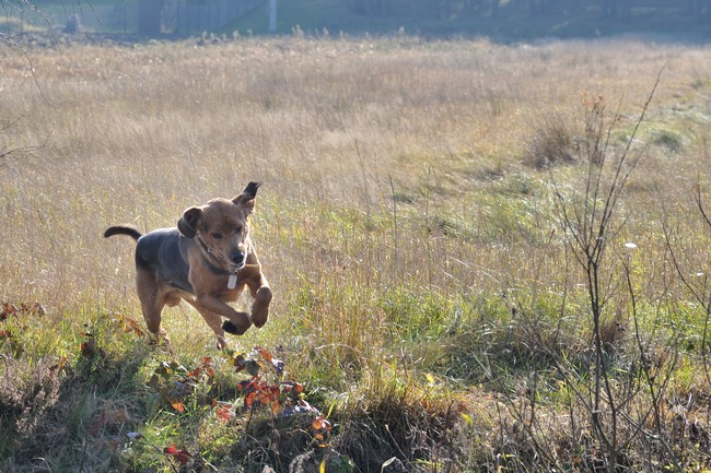 2010_10_23_5.jpg