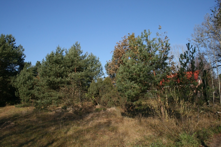 IMG_0075.JPG