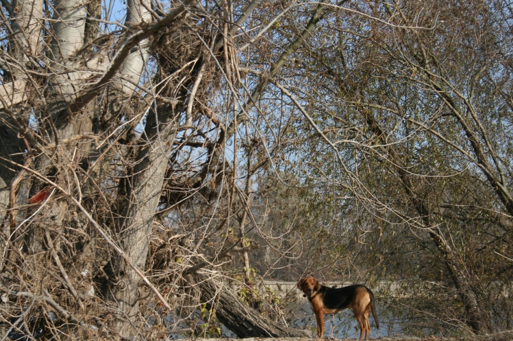 IMG_0143.JPG