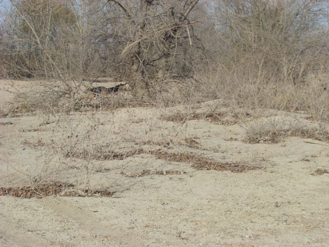 DSC02127.JPG