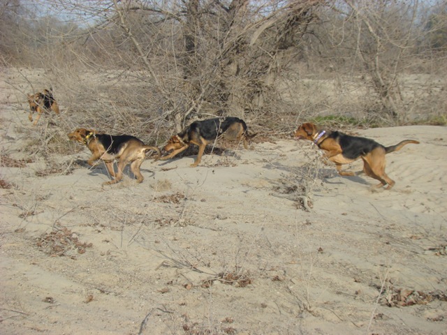 DSC02129.JPG