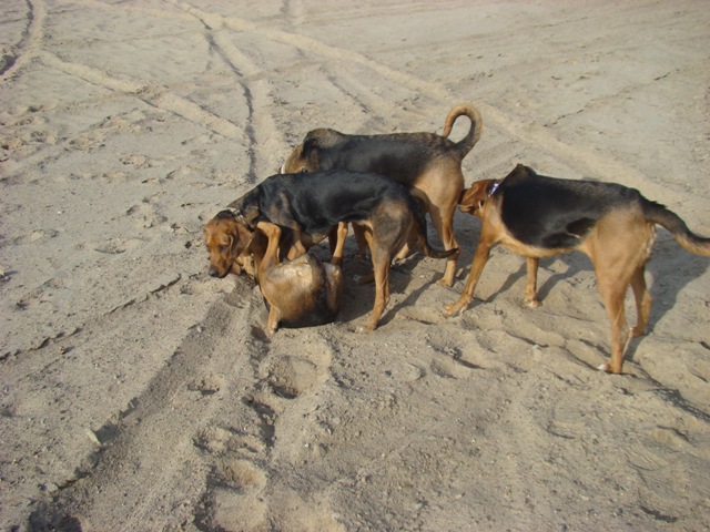 DSC02133.JPG