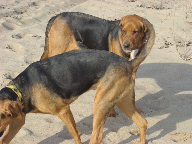 DSC02134.JPG