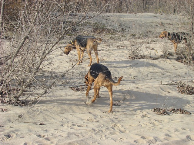 DSC02135.JPG
