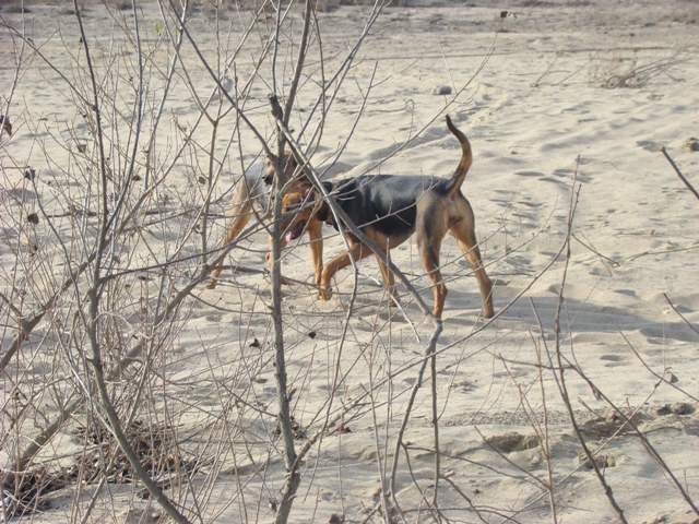 DSC02137.JPG