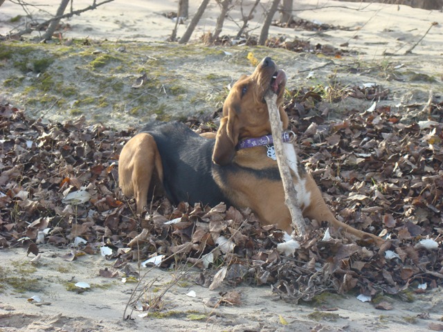 DSC02138.JPG