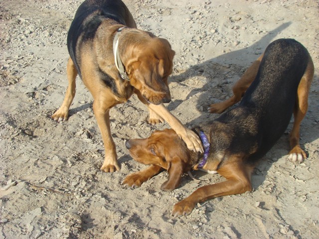 DSC02142.JPG