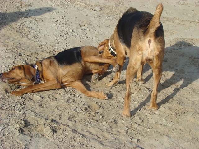 DSC02145.JPG