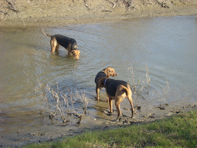 DSC02152.JPG