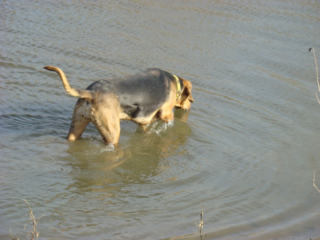 DSC02153.JPG