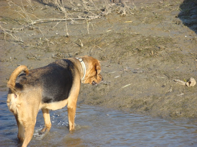 DSC02154.JPG