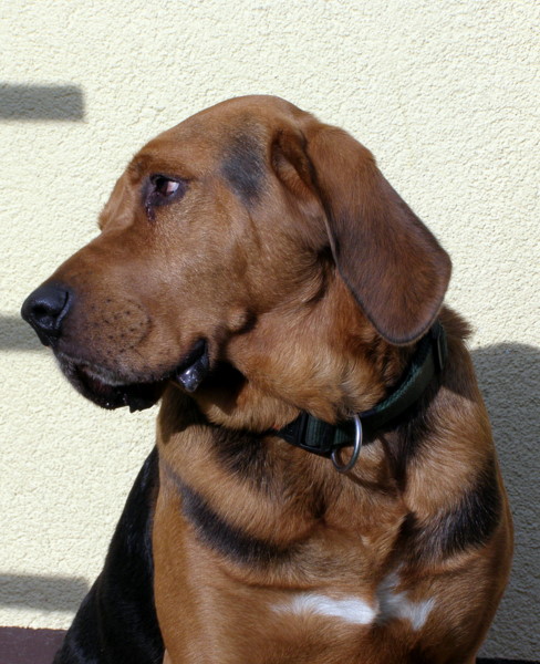 PB010025.JPG