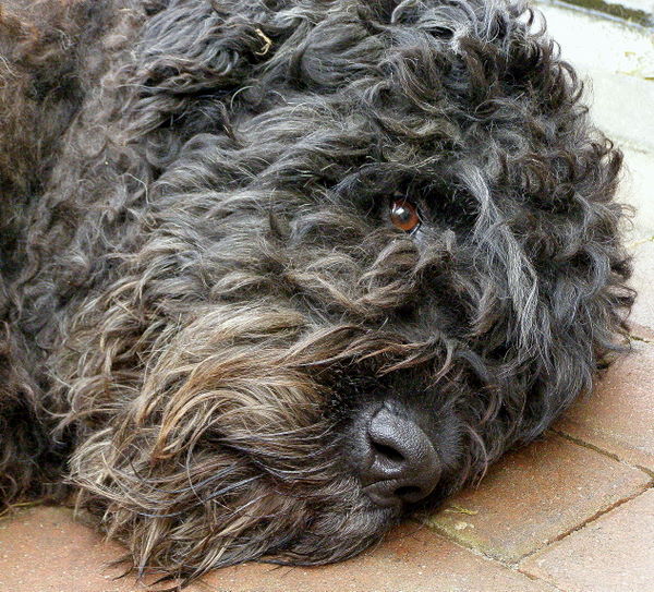 PB010055.JPG