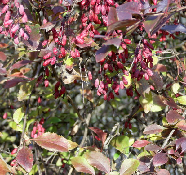 PB010014.JPG