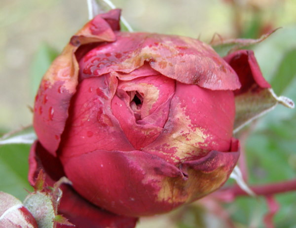 PB010030.JPG