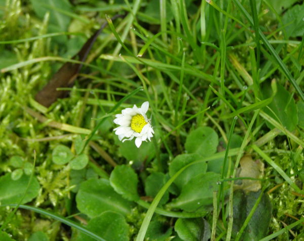 PB010040.JPG