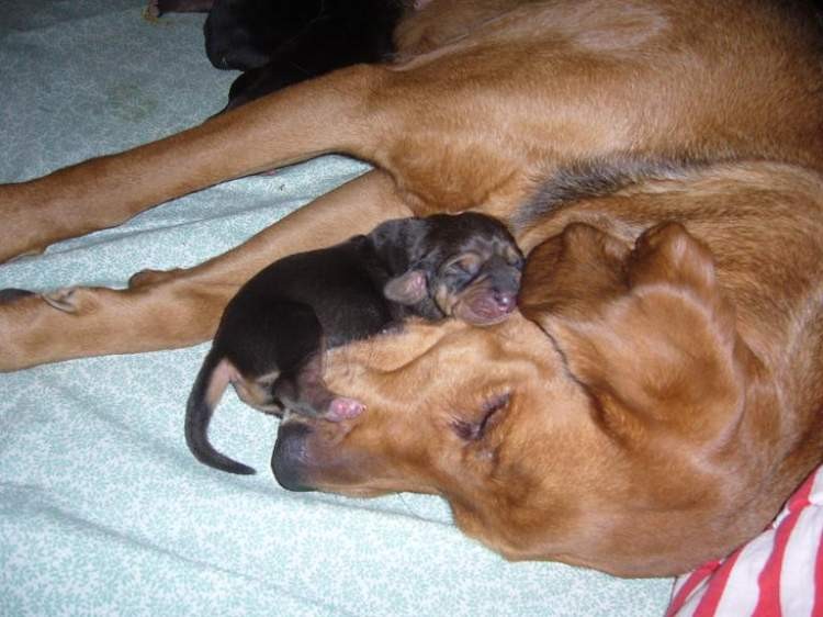 image013.jpg