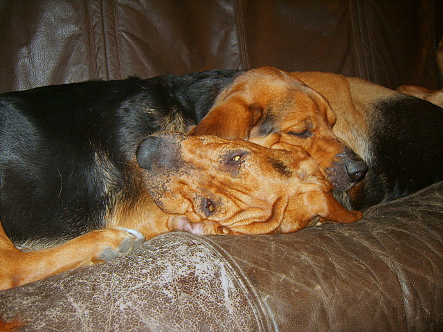 KUSY I SZAFIR 2010 100.jpg