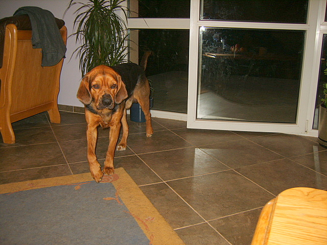 KUSY I SZAFIR 2010 097.jpg