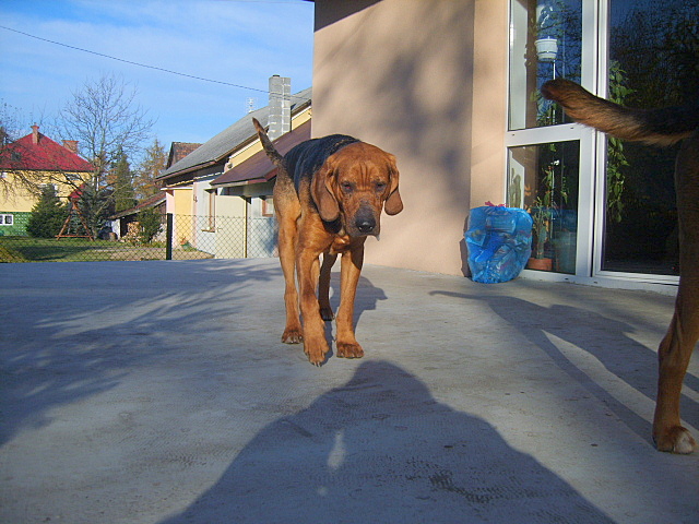 KUSY I SZAFIR 2010 090.jpg