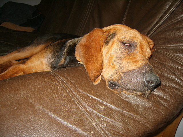 KUSY I SZAFIR 2010 064.jpg