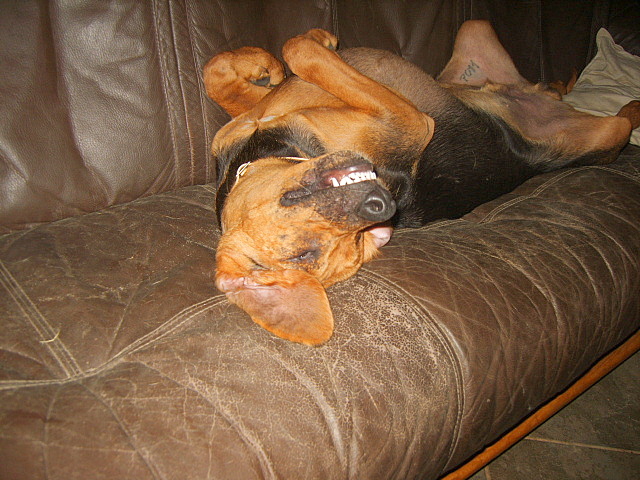 KUSY I SZAFIR 2010 068.jpg
