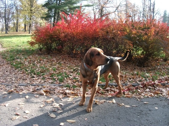 DSCF0323.JPG