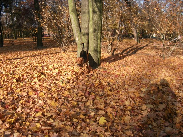 DSCF0318.JPG