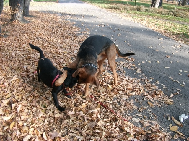 DSCF0327.JPG