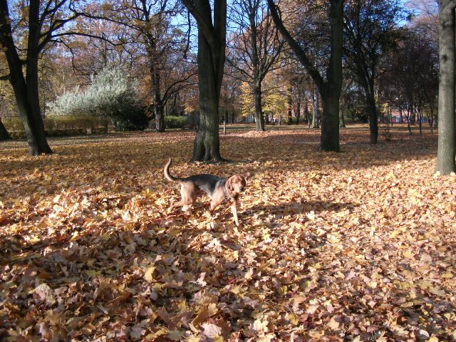 DSCF0311.JPG