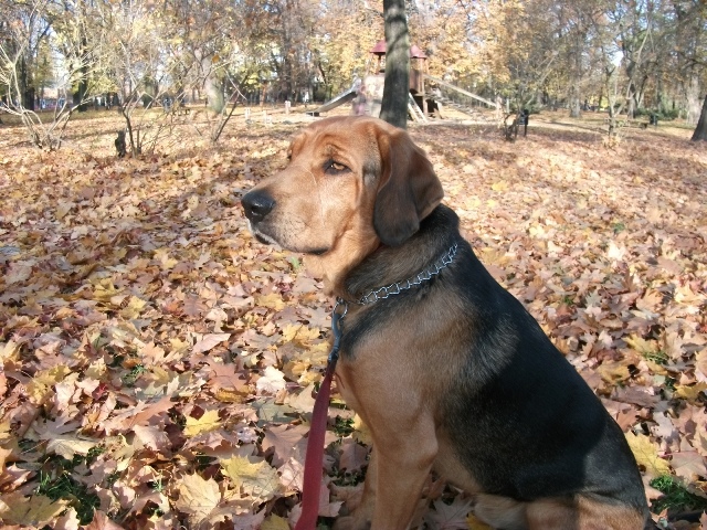 DSCF0307.JPG