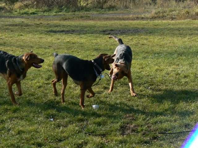 P1090282.jpg