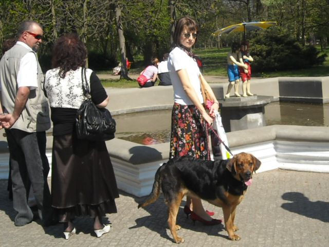 Obraz 389.jpg