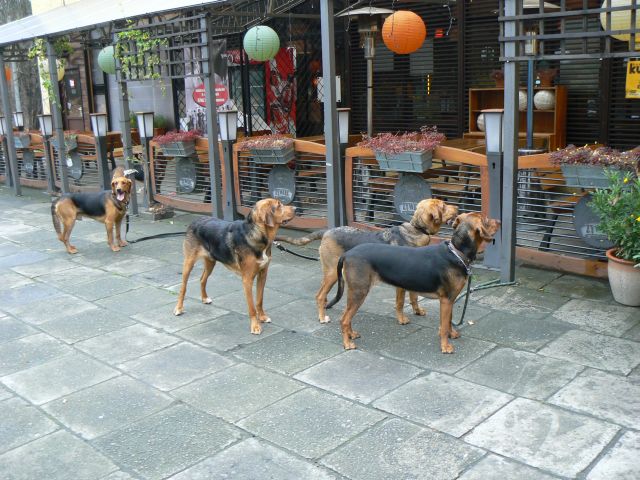 P1090344.jpg