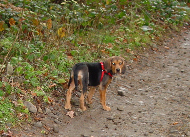 DSC01829aa.jpg