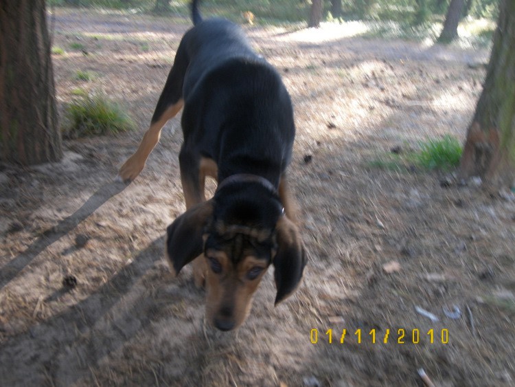 100_3698.JPG