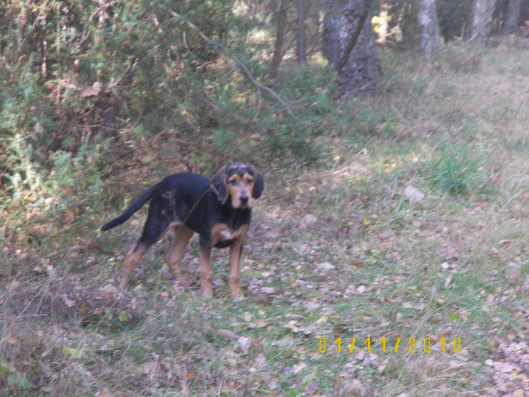 100_3707.JPG