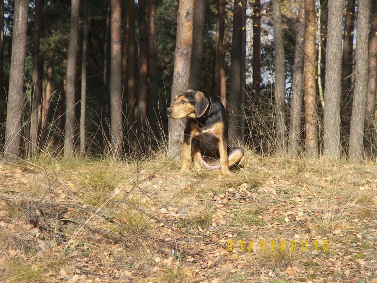 100_3708.JPG