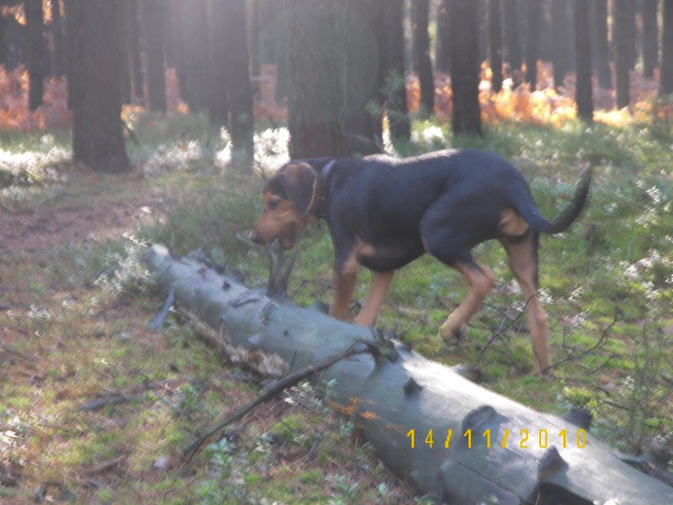 100_3740.JPG