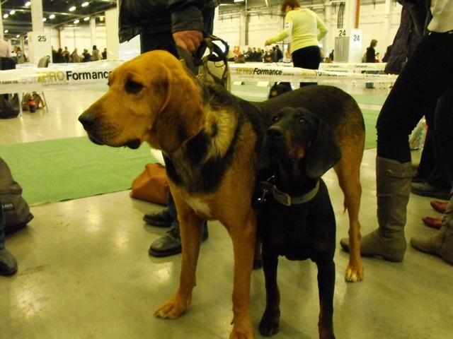 DSCF5007.JPG