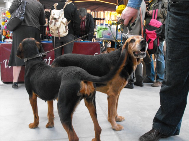 DSCF5011.JPG
