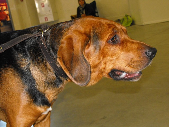 DSCF5016.JPG